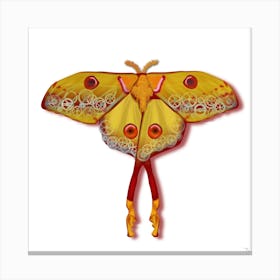 Mechanical Butterfly The Comet Moth Techno Argema Mittrei Canvas Print