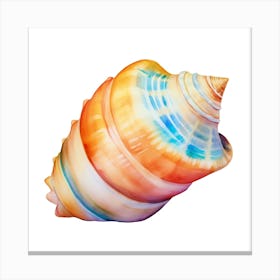 Colorful Sea Shell 1 Canvas Print