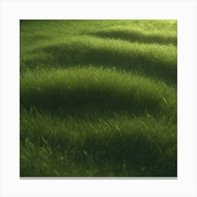 Grass Field 19 Canvas Print