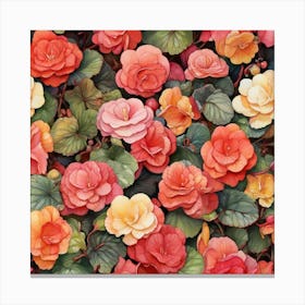 Colourful Of Begonia Square Art Print 3 Canvas Print