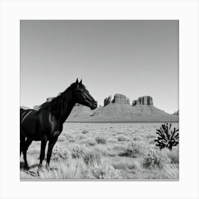 Black Horse In The Desert Canvas Print