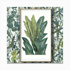 Tropical Leaves Jardin Majorelle, Morocco Vintage Botanical Art Print Canvas Print