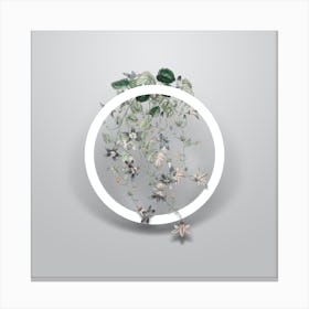 Vintage Harebell Of St. Angelo Minimalist Flower Geometric Circle on Soft Gray n.0027 Canvas Print