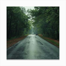 Road In The Woods 3 Canvas Print