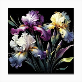 Midnight Irises Canvas Print