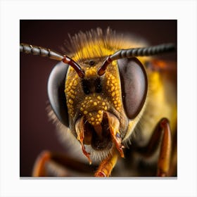 Close Up Of A Bee Canvas Print