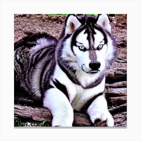 Husky Tiger 2 ( Fromhifitowifi ) Canvas Print