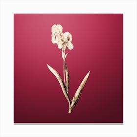 Gold Botanical Tall Bearded Iris on Viva Magenta Canvas Print