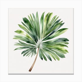 Green fan of palm leaves 6 Canvas Print