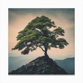 Lone Tree On Top Of Mountain 65 Canvas Print