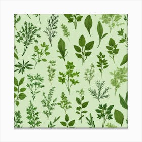 Seamless Pattern Of Herbs 6 Canvas Print