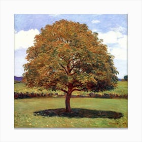 Tree In A Field 1 Canvas Print