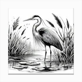 Illustration Heron 1 Canvas Print