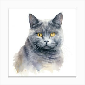 Chartreux Cat Portrait 3 Canvas Print