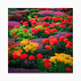 Tulip Garden Canvas Print