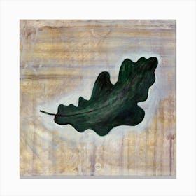 Oak Leaf 1 Canvas Print