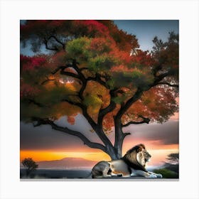 Lion Under The Tree 1 Canvas Print
