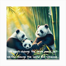 We can change the world for someone Canvas Print