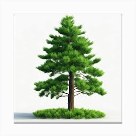 Pine Tree Canvas Print