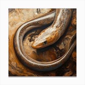 Eel Head Canvas Print