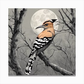 hoopoe on a beautiful quiet night Canvas Print