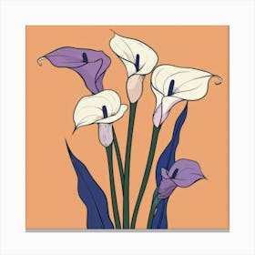 Calla Lily 8 Canvas Print