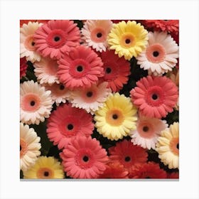 Gerberas Canvas Print