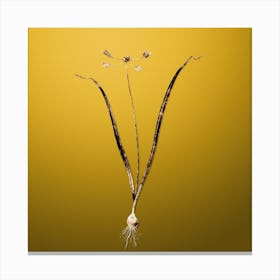 Gold Botanical Allium Scorzonera Folium on Mango Yellow n.0015 Canvas Print