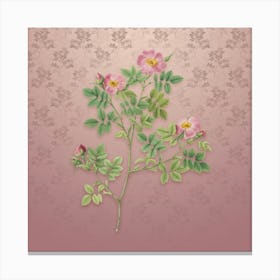 Vintage Rose Corymb Botanical on Dusty Pink Pattern n.0147 Canvas Print