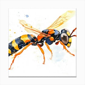 Wasp Closeup Canvas Print