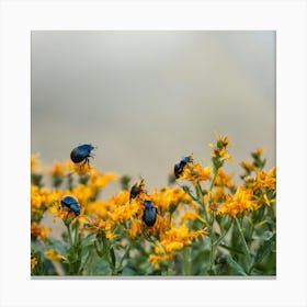 Beetle On Yellow Flower Canvas Print