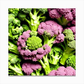 Close Up Of Broccoli 21 Canvas Print