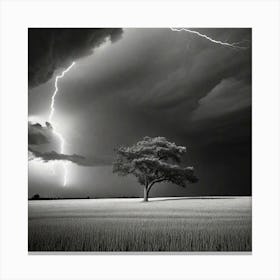 Lightning In A Field Canvas Print