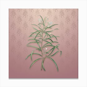 Vintage Narrow Leaf Spider Flower Botanical on Dusty Pink Pattern n.0150 Canvas Print