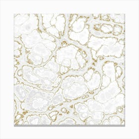 White Marble Texture Lienzo