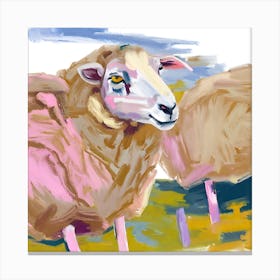 Merino Sheep 03 Canvas Print