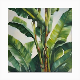 Banana Tree 1 Canvas Print