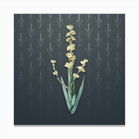 Vintage Pale Yellow Eyed Grass Botanical on Slate Gray Pattern n.0650 Canvas Print