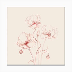 Poppies 4 Canvas Print