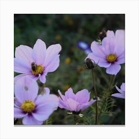 IRISH WILDFLOWERS Canvas Print