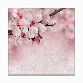 Cherry Blossoms On A Branch Canvas Print