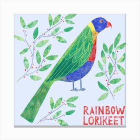 Rainbow Lorikeet Parrot Bird Canvas Print