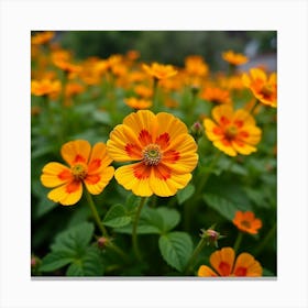 A Lush Garden Filled With Bright, Cheerful Nasturtiums 4 Canvas Print