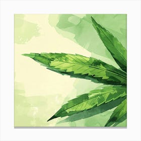 Watercolor Marijuana Leaf Canvas Print