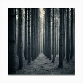 Dark Forest 118 Canvas Print