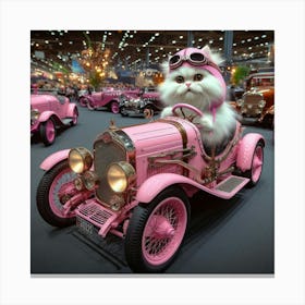 Cat In Pink Car Canvas Print