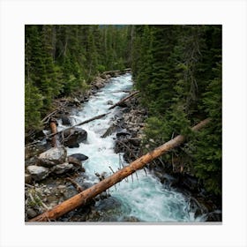 Rocky Mountain Stream Canvas Print