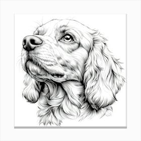 Cocker Spaniel Canvas Print