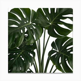 Full Green Plant (3) Canvas Print