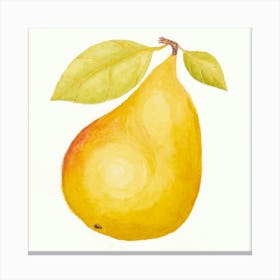 Yellow Pear Watercolor Canvas Print